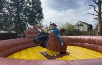 Bullriding 4