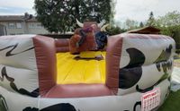 Bullriding 6